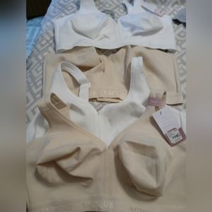 Lane Bryant Cacique 38DDD